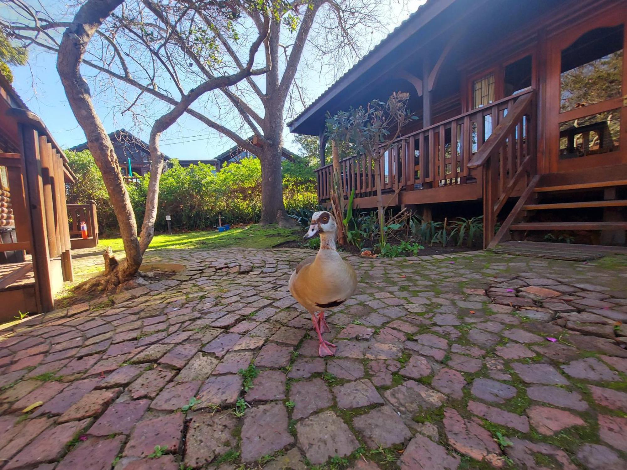 Knysna River Club By First Private Stays Ngoại thất bức ảnh